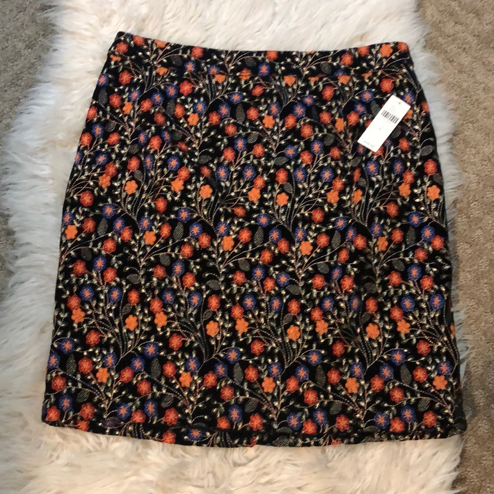 Anthropologie skirt